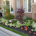 2011 Gardening Contest